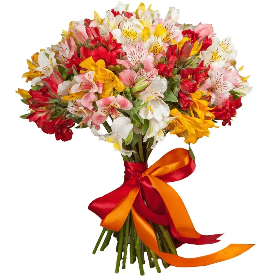 Альстромерии палитра красок