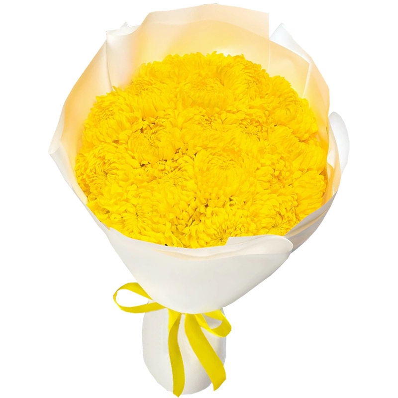 Букет из 19 желтых одноголовых хризантем