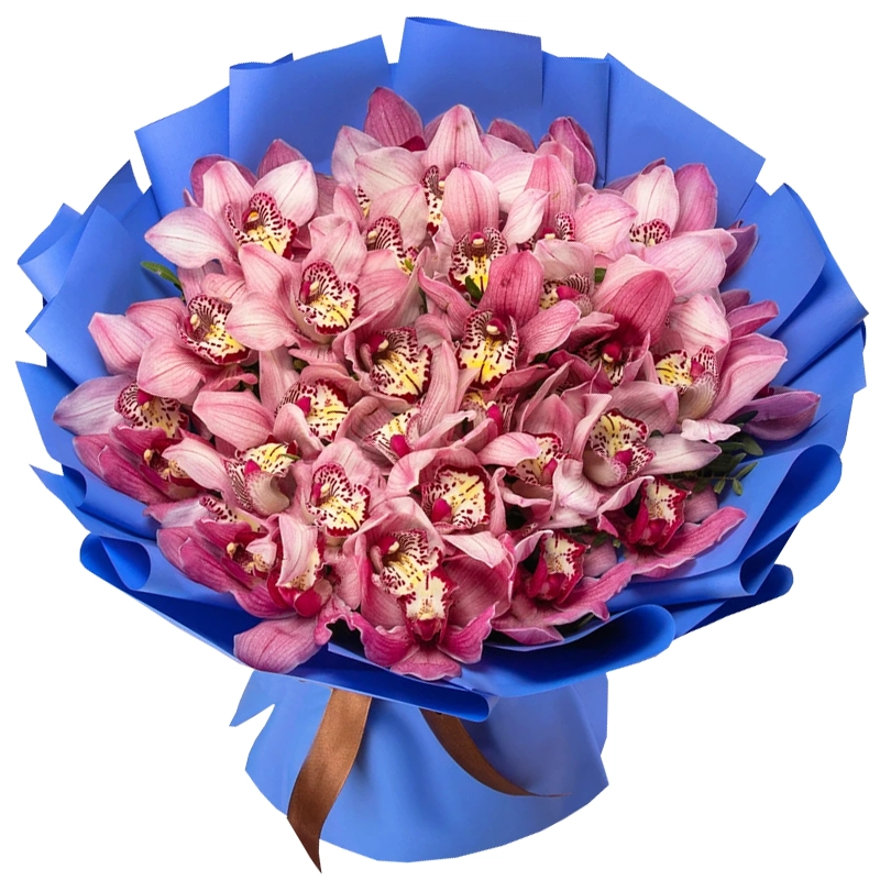 Букет из 35 розовых орхидей